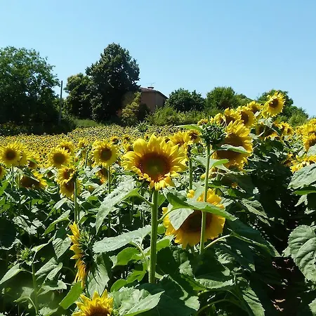 D'hotes Au Val Dormant Réalville