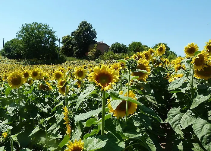 D'hotes Au Val Dormant Réalville